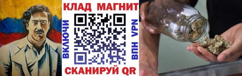 Виды наркоты Ковылкино Канабис  Меф мяу мяу  APVP  ГАШИШ  COCAIN 