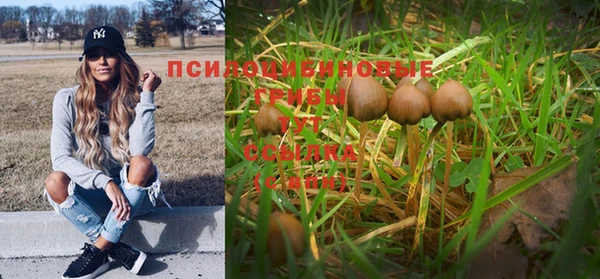 марки nbome Алексеевка