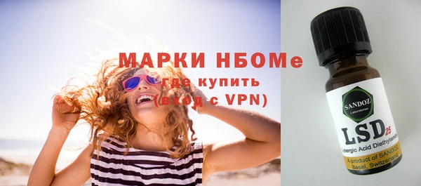 индика Алзамай