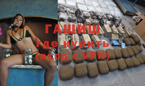 индика Алзамай