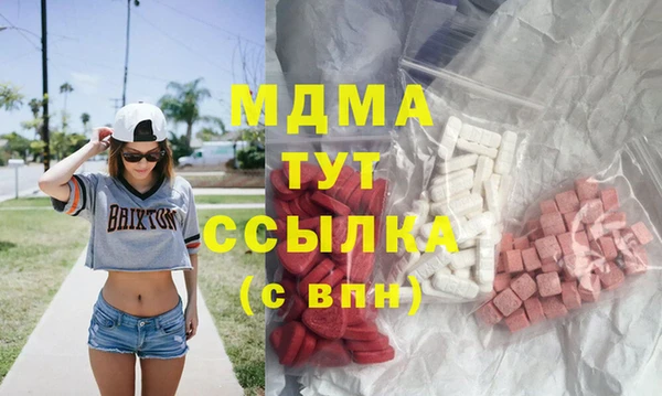 индика Алзамай