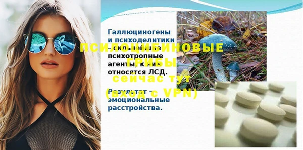 spice Алексин