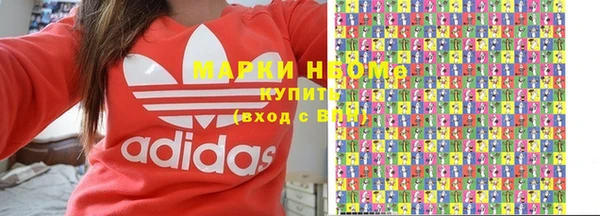 индика Алзамай