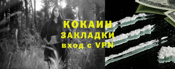 индика Алзамай
