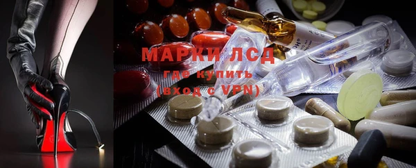 индика Алзамай